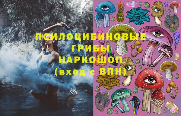 ECSTASY Белокуриха
