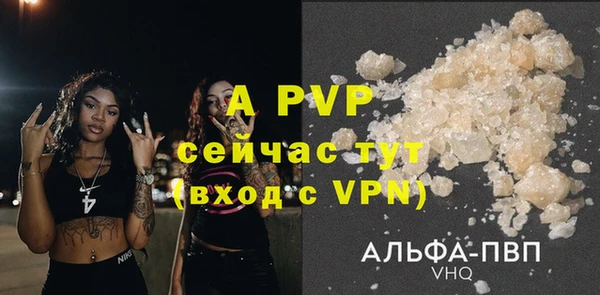 ECSTASY Белокуриха