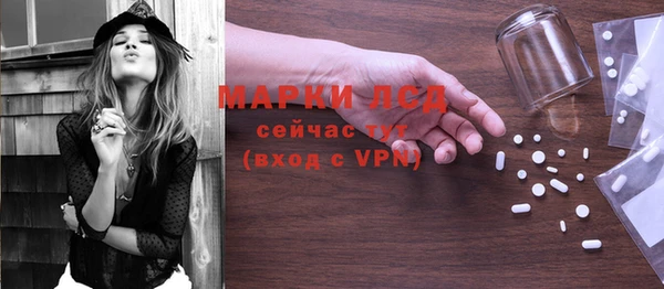 ECSTASY Белокуриха