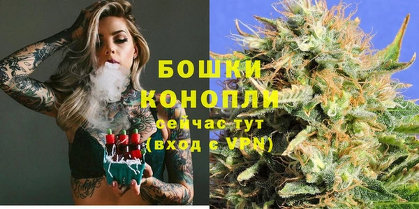 ECSTASY Белокуриха